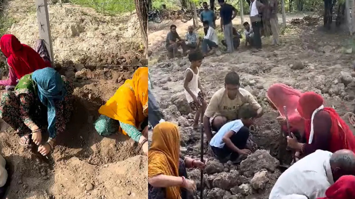 Jaipur News: चांदी के सिक्कों के दावे से गांव में मची हलचल, वायरल वीडियो के बाद शुरू हुई खुदाई
