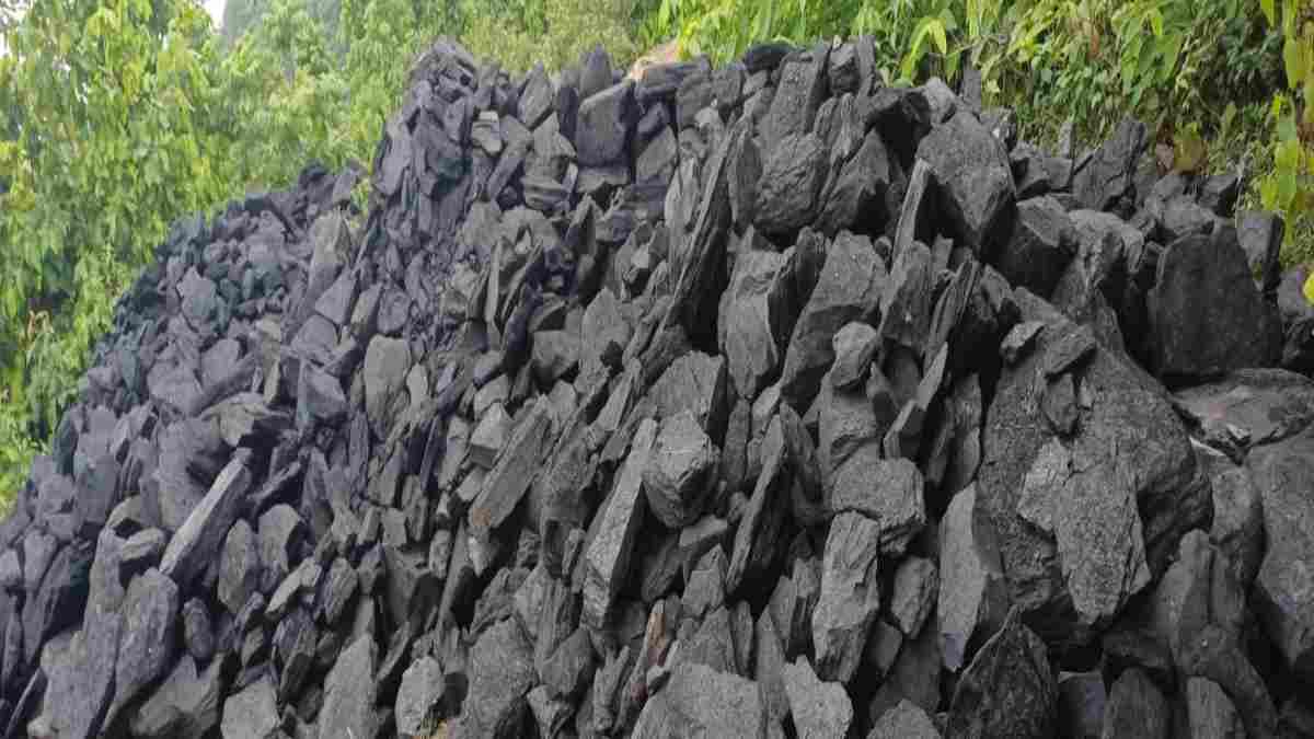 सिंगरौली में माइनिंग विभाग की बड़ी कार्रवाई, निगाही क्षेत्र से 32 टन अवैध कोयला जब्त