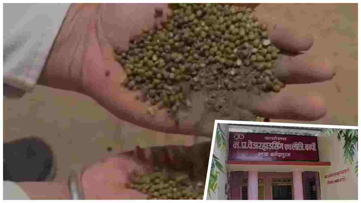 28 करोड़ की मूंग बनी ‘मिट्टी’! नर्मदापुरम में ब्लैकलिस्टेड वेयरहाउस सील; FIR होते ही मालिक अस्पताल में भर्ती 