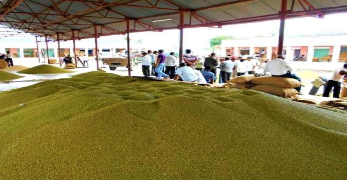 मूंग खरीदी पर सियासी संग्राम: कांग्रेस बोली- गुजरात में मूंग वही फिर MP में कैसे हो जाती है जहरीली ? बंद हो सौतेला व्यवहार
