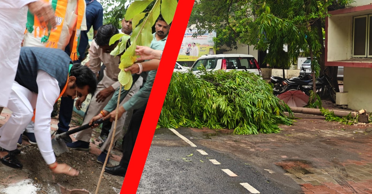 मंत्री राकेश सिंह मंच से पर्यावरण पर दे रहे थे भाषण, पीछे काट डाला हरा-भरा पेड़; देखें वायरल VIDEO
