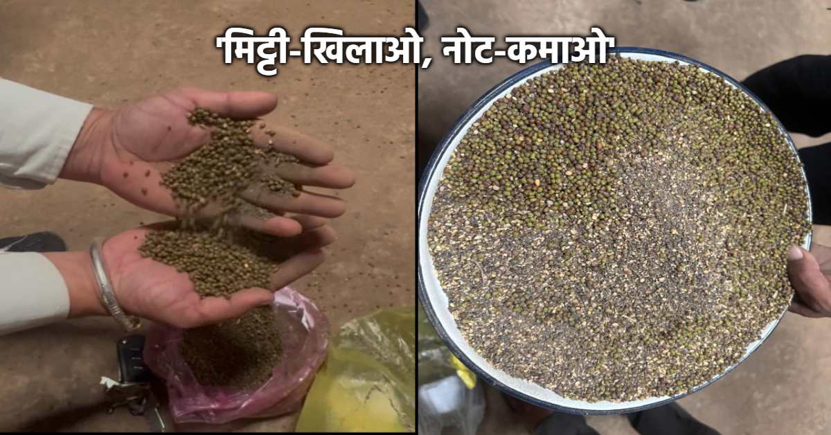 अफसरों की जेब हरी, मूंग में भरी मिट्टी: नर्मदापुरम में फिर फूटा महाघोटाला, कब नपेगी ‘बड़ी मछली’?