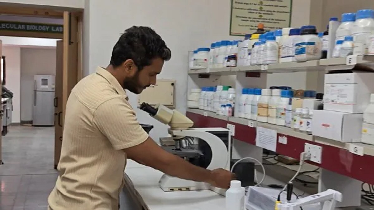Organic Nano Pesticide: सीताफल के बीजों से राजस्थान के वैज्ञानिक ने बनाया जैविक नैनो कीटनाशक, राष्ट्रपति ने भी की सराहना