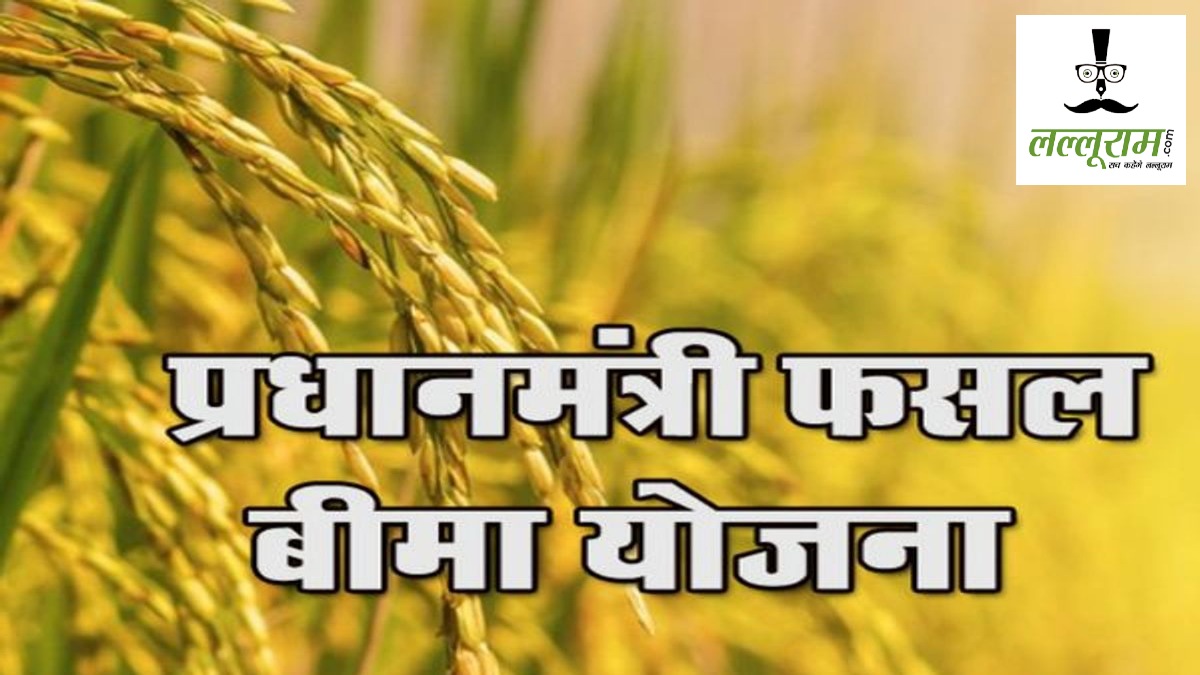फसल बीमा कराने के लिए 31 जुलाई तक मौका, धान समेत 10 फसलों पर योजना लागू