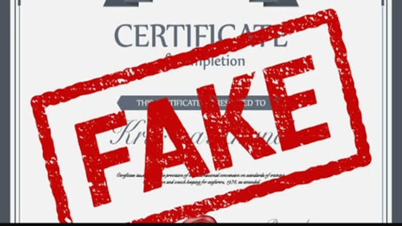 RPSC Hindi Lecturer भर्ती में Fake Degree रैकेट, SOG ने की 15वीं गिरफ्तारी