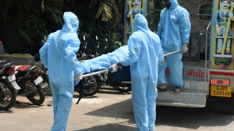 Chandipura Virus की दस्तक: डूंगरपुर की 6 वर्षीय बच्ची की मौत, गांव में स्वास्थ्य विभाग अलर्ट