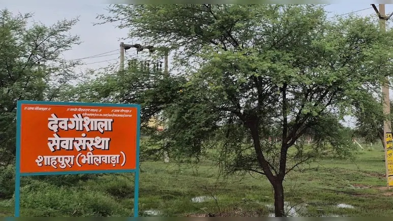Rajasthan News: भीलवाड़ा में BJP विधायक लालाराम बैरवा पर सरकारी जमीन हड़पने का आरोप, मचा सियासी बवाल