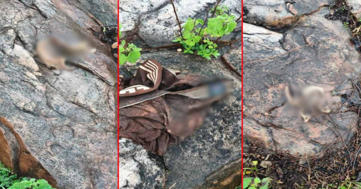 कैमूर पहाड़ पर मिला कंकाल: अंडरवियर, खोपड़ी-जबड़ा और हड्डियां बरामद, मौके पर FSL की टीम