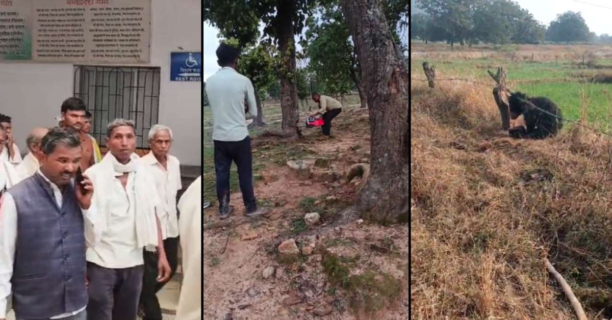 धरौली कोल ब्लॉक में पेड़ों की कटाई पर भड़का जनाक्रोश, जंगल उजड़ने से ग्रामीणों का फूटा गुस्सा