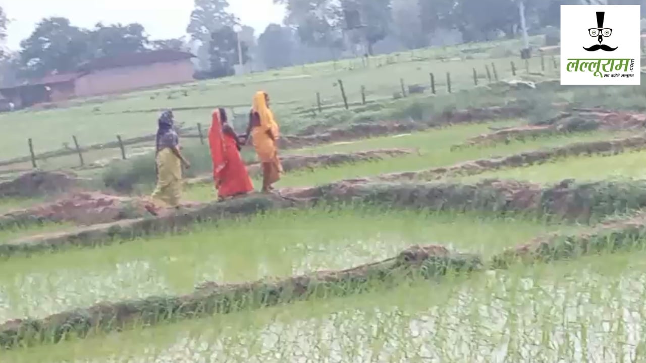 Chhattisgarh : घर तक नहीं पहुंच सकी एंबुलेंस, खेत में महिला की कराई गई डिलवरी