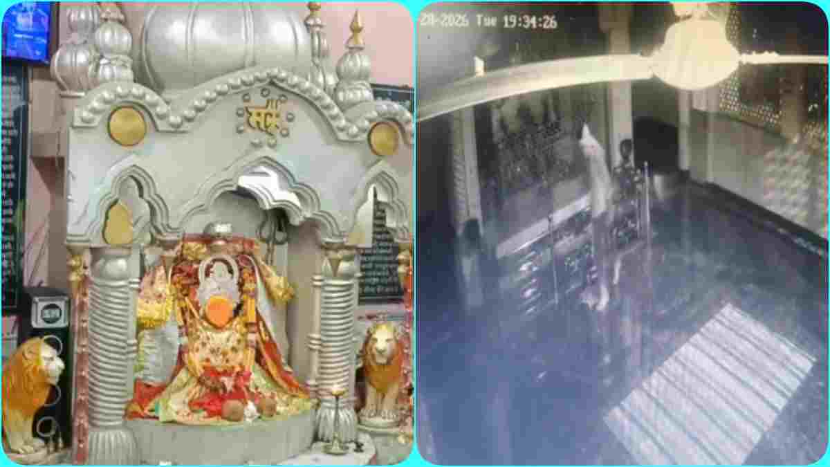 प्राचीन हरसिद्धि माता मंदिर में चोरी, बदमाशों ने मातारानी के सिंगार पर साफ किया हाथ, CCTV में कैद हुई वारदात