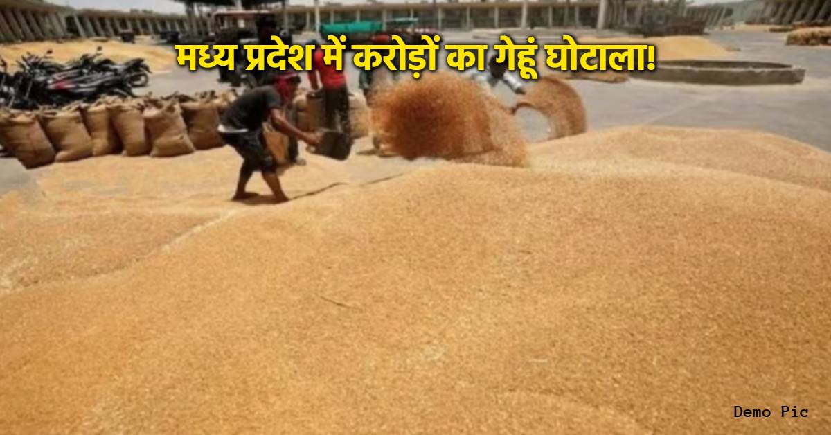 मध्यप्रदेश में 19 करोड़ का गेहूं गायब! धान खरीदी केंद्र से वेयरहाउस तक नहीं पहुंचा, कांग्रेस ने उठाए सवाल