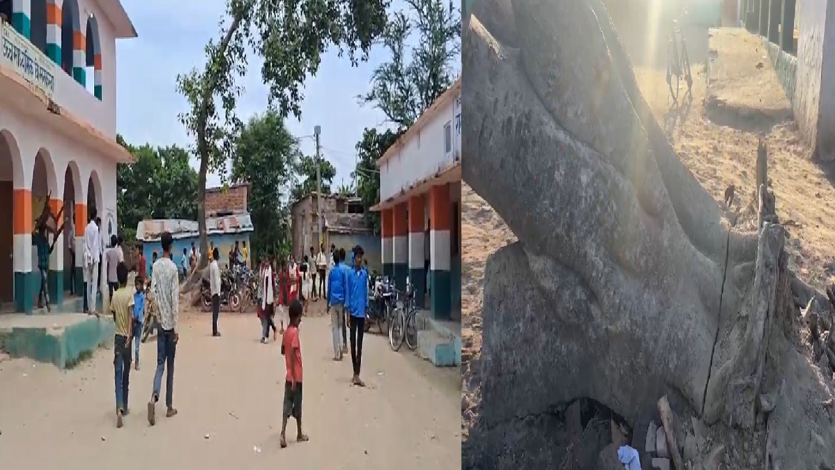बिहार में सरकारी पेड़ का सौदा! शिक्षक पर बरगद बेचने का आरोप, हेडमास्टर की चुप्पी पर उठ रहा सवाल