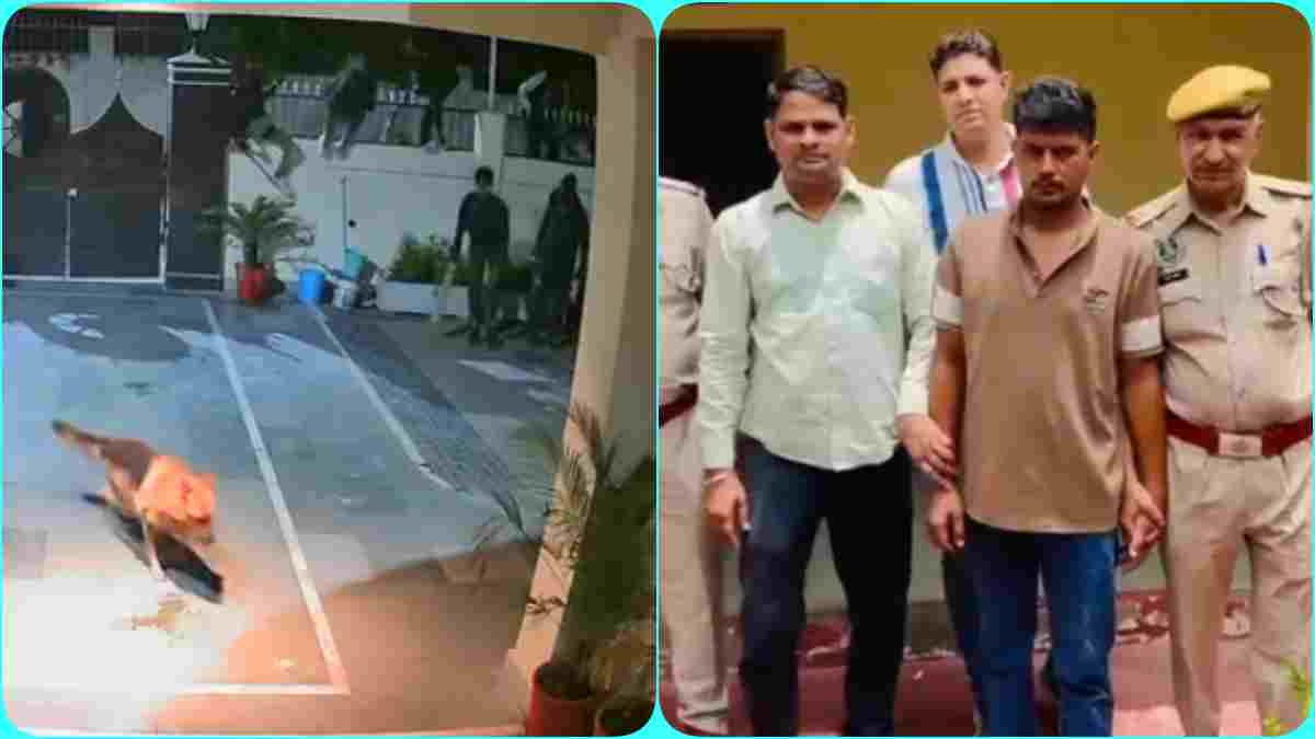 कुत्तों को नशीला मांस खिलाकर की थी करोड़ों की चोरी, जयपुर से शातिर डकैत शाहरुख गिरफ्तार, नौकरानी समेत 8 लोग हुए थे गिरफ्तार