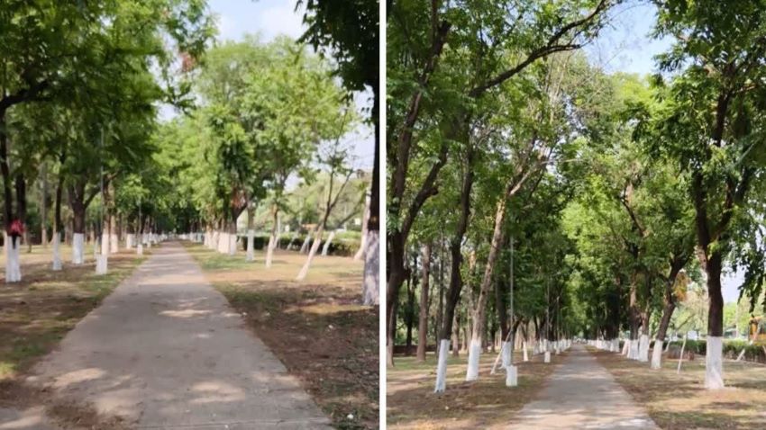 स्मार्ट सिटी के प्रमुख चौराहों पर बढ़ा भिक्षुओं का भारी आतंक, दिन में भीख और रात में नशेड़ियों से सहमे लोग