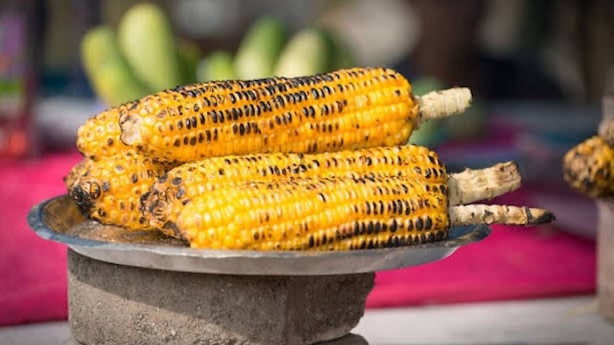 मानसून में भुट्टा खाना कितना फायदेमंद? जानिए किन लोगों को बरतनी चाहिए सावधानी…