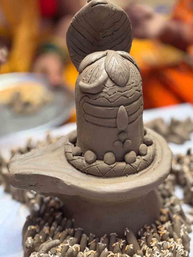 आकार से लेकर मिट्टी चुनने तक, सावन में भूलकर भी न करें ये गलतियां