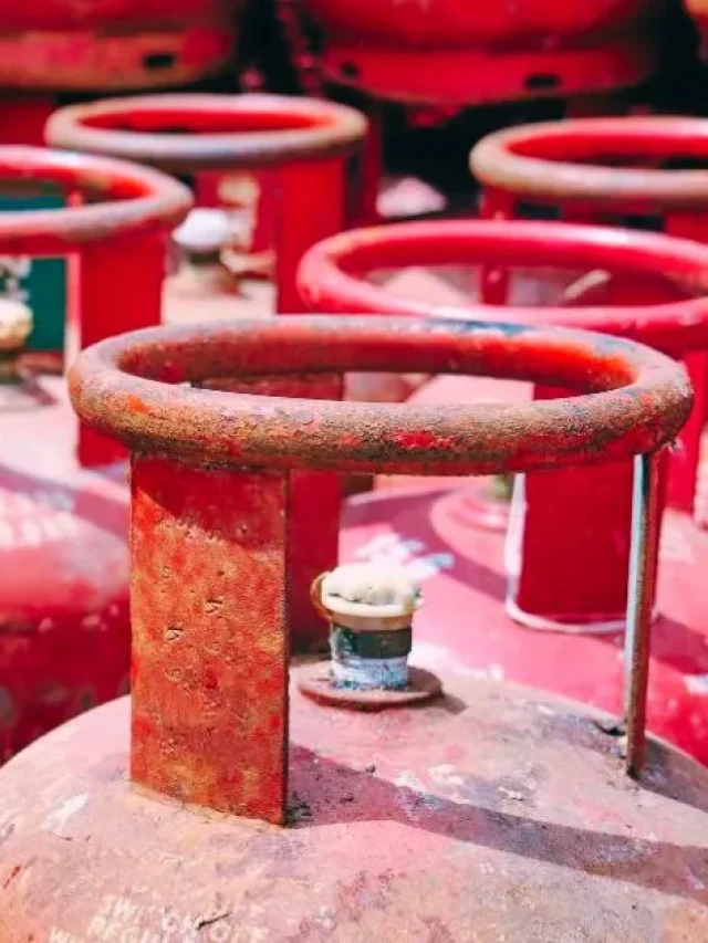 LPG Price Today:  गैस सिलेंडर बुक करने से पहले जान लें आज का ताजा रेट