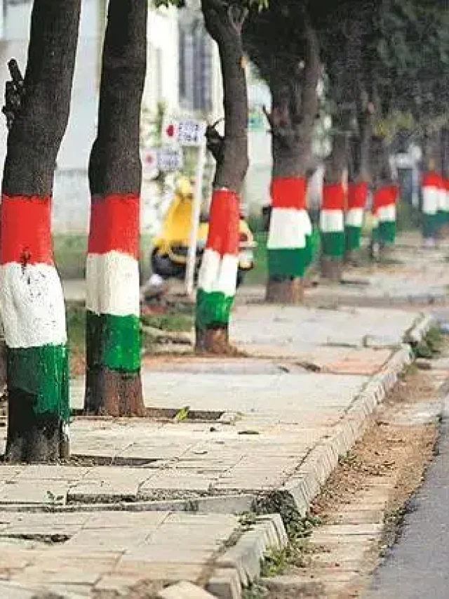 Trees Paint: सड़क किनारे लगे पेड़ों के नीचे क्यों किया जाता है पेंट? जानिए
