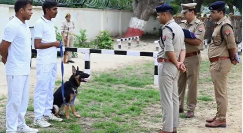 फतेहपुर पुलिस के बेड़े में शामिल हुआ ट्रैकर डॉग ‘सूर्या’, संगीन वारदातों के खुलासे में मिलेगी बड़ी मदद