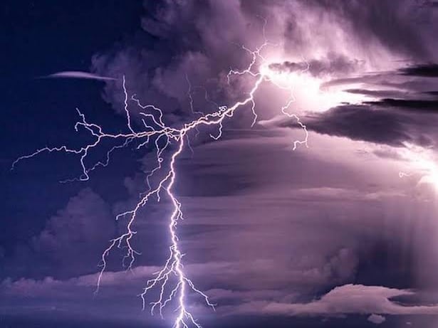 डेयरी पर गिरी आकाशीय बिजली, इमारत ढही… 38 पशु मलबे में दबे, हरियाणा में मानसून की धमाकेदार एंट्री