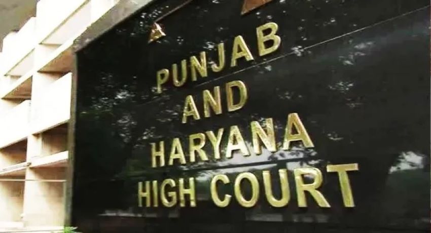 हाई कोर्ट का बड़ा फैसला, महिला की सुविधा को सर्वोपरि मानकर पानीपत से फरीदाबाद ट्रांसफर किया तलाक केस