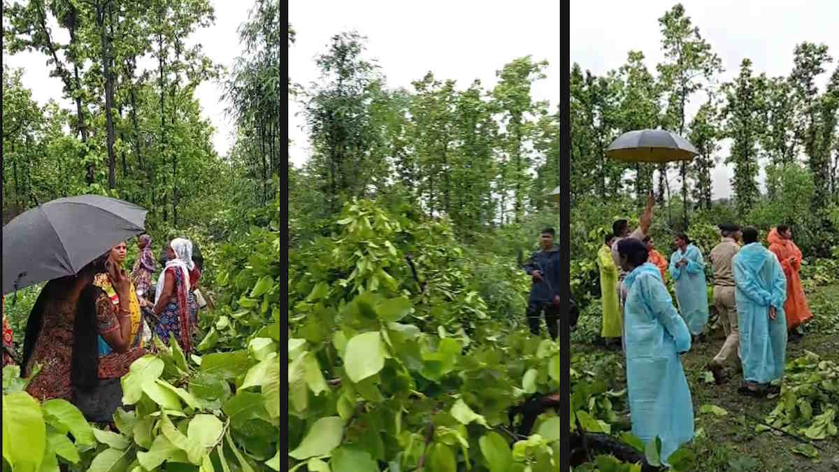 तमनार ब्लॉक में जिंदल ने शुरू की हरे-भरे पेड़ों की कटाई, पर्यावरण को बचाने ग्रामीणों ने खोला मोर्चा…