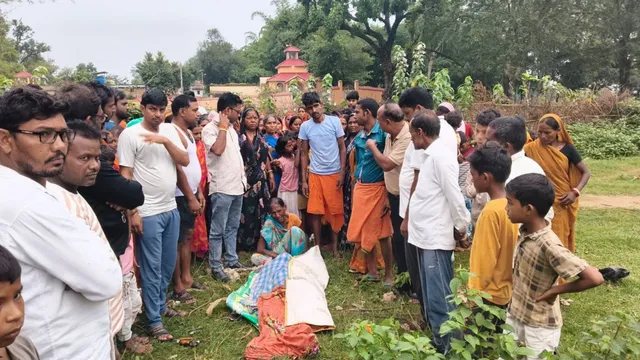 हजारीबाग में हाथियों का आतंक: 25 हाथियों के झुंड ने ग्रामीण को कुचलकर मार डाला