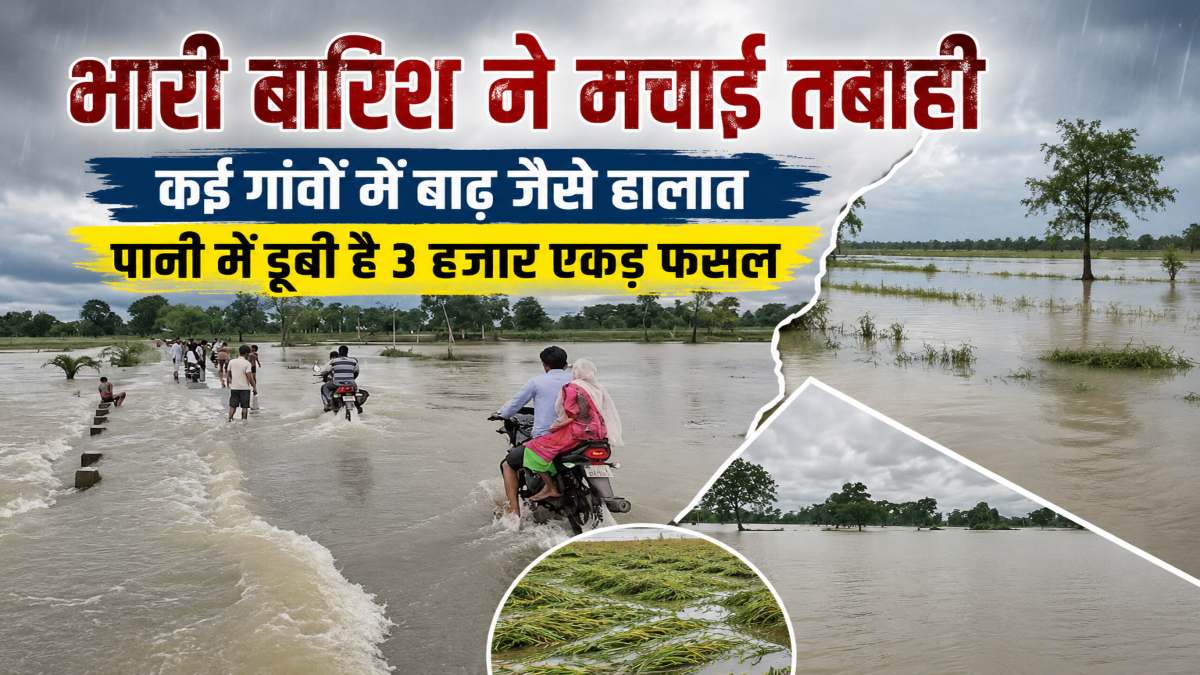 भारी बारिश ने मचाई तबाही : कई गांवों में बाढ़ जैसे हालात, पानी में डूबी 3 हजार एकड़ फसल, किसान परेशान