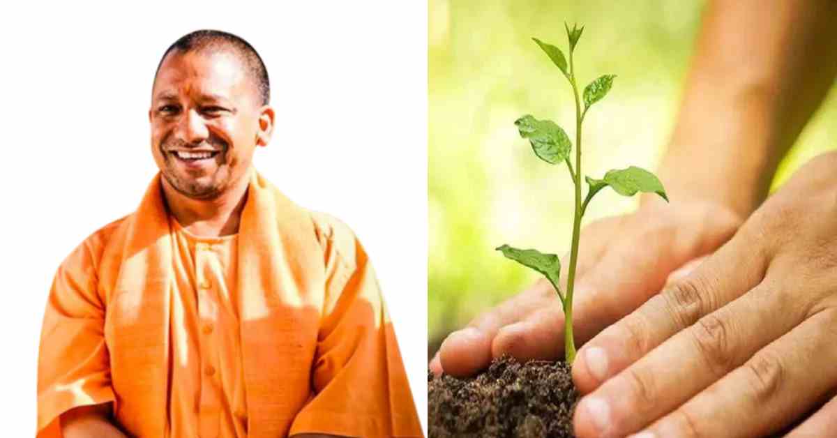 18 जुलाई से यूपी में शुरू होगा ‘समृद्धि वन’ अभियान, हर विकासखंड में किसानों की आय बढ़ाने के लिए होगा विशेष पौधरोपण