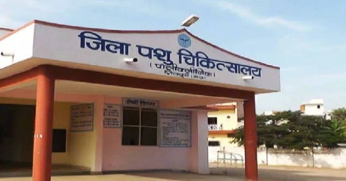 UP की हर विधानसभा में बनेगा आदर्श पशु चिकित्सालय, आधुनिक सुविधाओं से मिलेगा पशुओं का इलाज