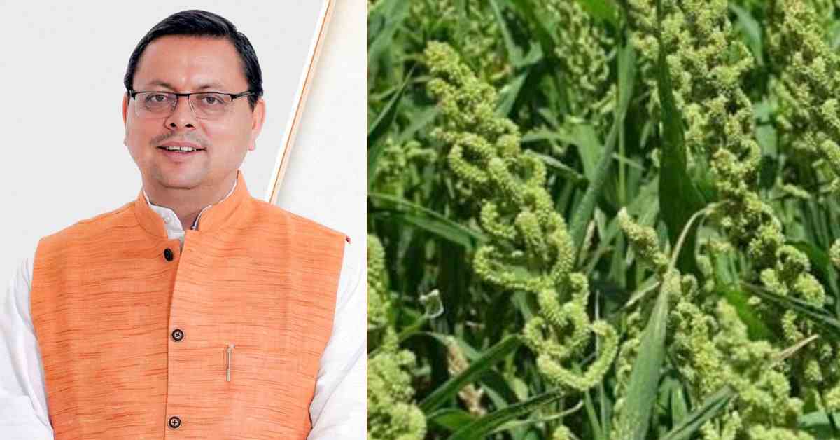 केवल कहा नहीं करके भी दिखाया… CM धामी का बड़ा बयान, कहा- परंपरागत फसलों के लिए स्टेट मिलेट पॉलिसी लागू की
