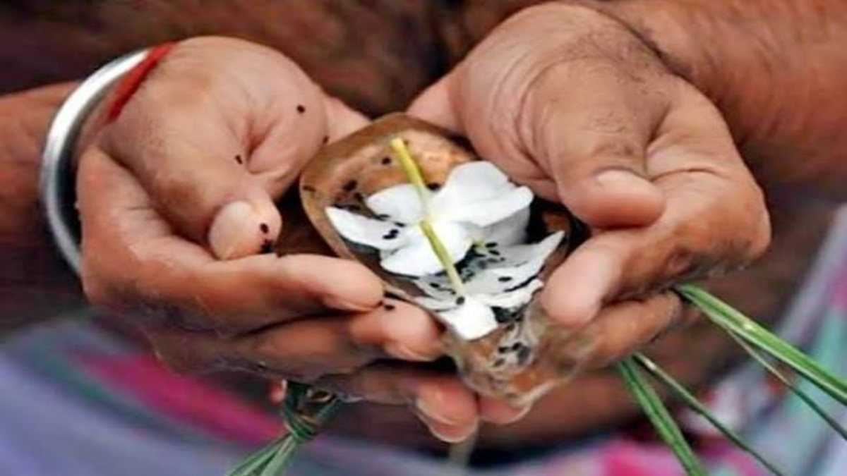 दो दिन अमावस्या : कब करें पितृ कर्म? सही समय, पितृ दोष निवारण और शत्रु भय से मुक्ति के खास उपाय