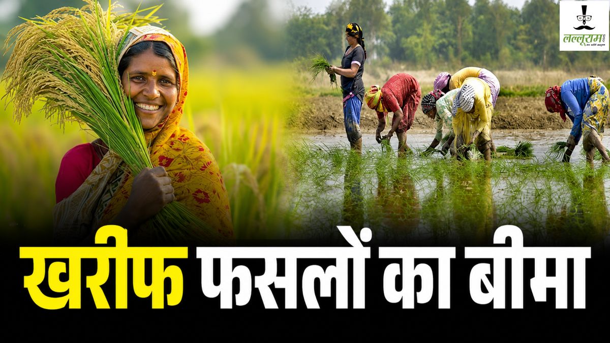 किसानों के लिए जरूरी खबर: खरीफ फसलों का बीमा 31 जुलाई तक, एल नीनो के खतरे के बीच मिलेगी आर्थिक सुरक्षा