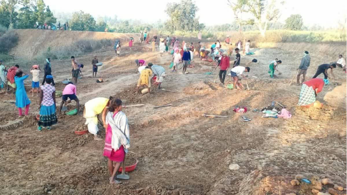छत्तीसगढ़ में CAG रिपोर्ट ने खोली मनरेगा की पोल : योजना निर्माण से भुगतान तक मिलीं खामियां, EPF में 84.59 करोड़ की देनदारी