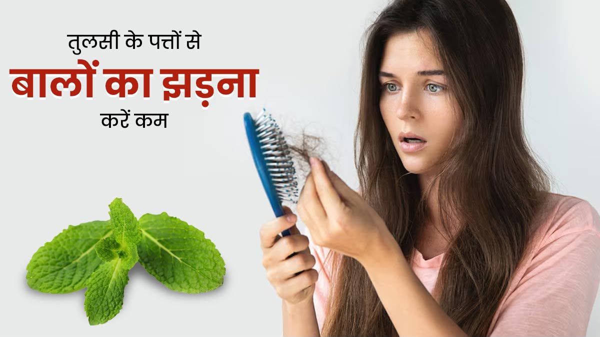 तुलसी के पत्ते बन सकते हैं बालों के लिए प्राकृतिक सहारा, बरसात में कम करेगा हेयरफॉल