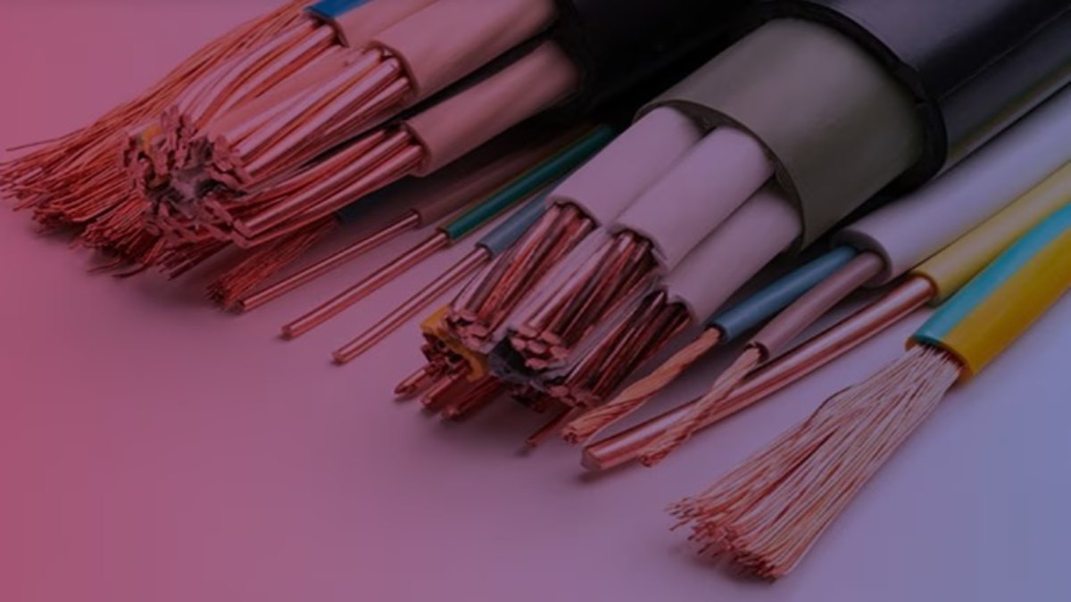 Laser Power IPO Listing : 214 रुपए का शेयर 26% प्रीमियम पर लिस्ट, निवेशकों को शानदार लिस्टिंग गेन, बाद में मुनाफा थोड़ा घटा