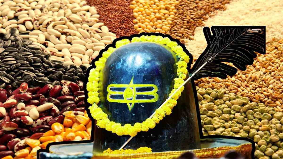पितृ दोष से संतान सुख तक, शिवलिंग पर कौन सा अनाज अर्पित करने से मिलता है पूरा फल …