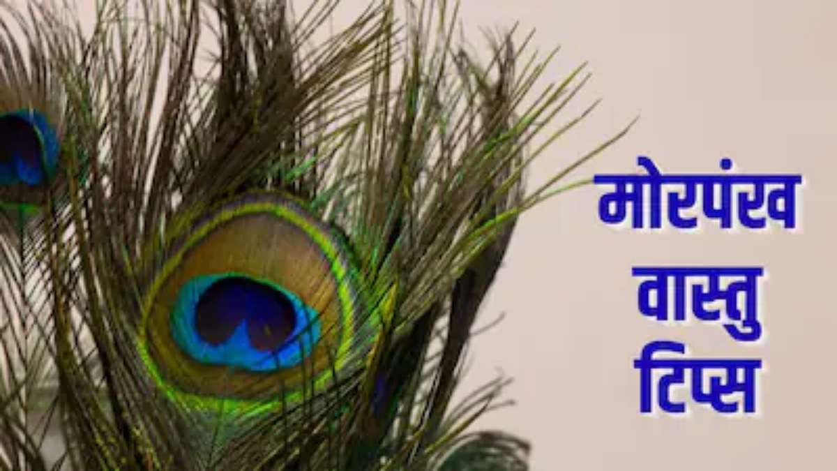 दक्षिण-पूर्व दिशा में मोरपंख लगाने से बदलता है घर का माहौल, बरकत के साथ दूर होते हैं दोष …