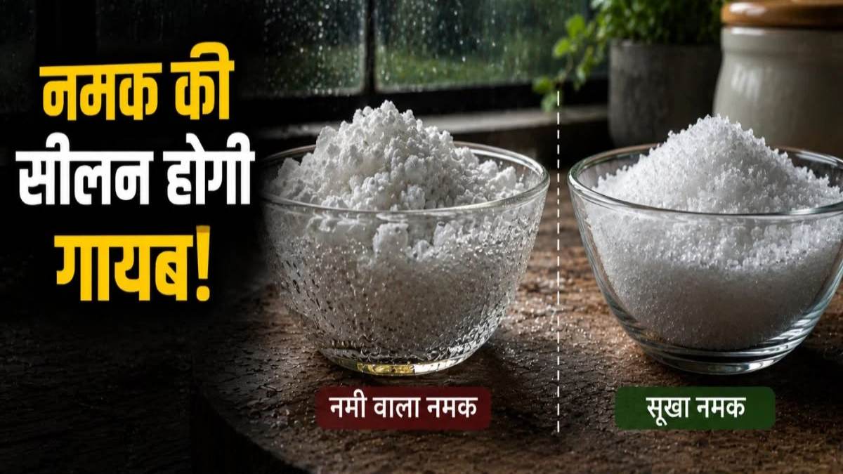 Monsoon Kitchen Tips : मानसून में चिपचिपा हो जाता है नमक, तो अपनाएं ये आसान हैक्स