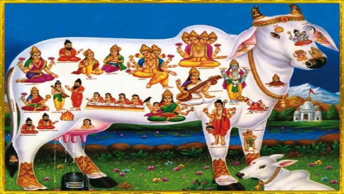 गाय के गोबर से ही क्यों पवित्र होता है पूजा स्थल? जानिए इसके पीछे की धार्मिक वजह …