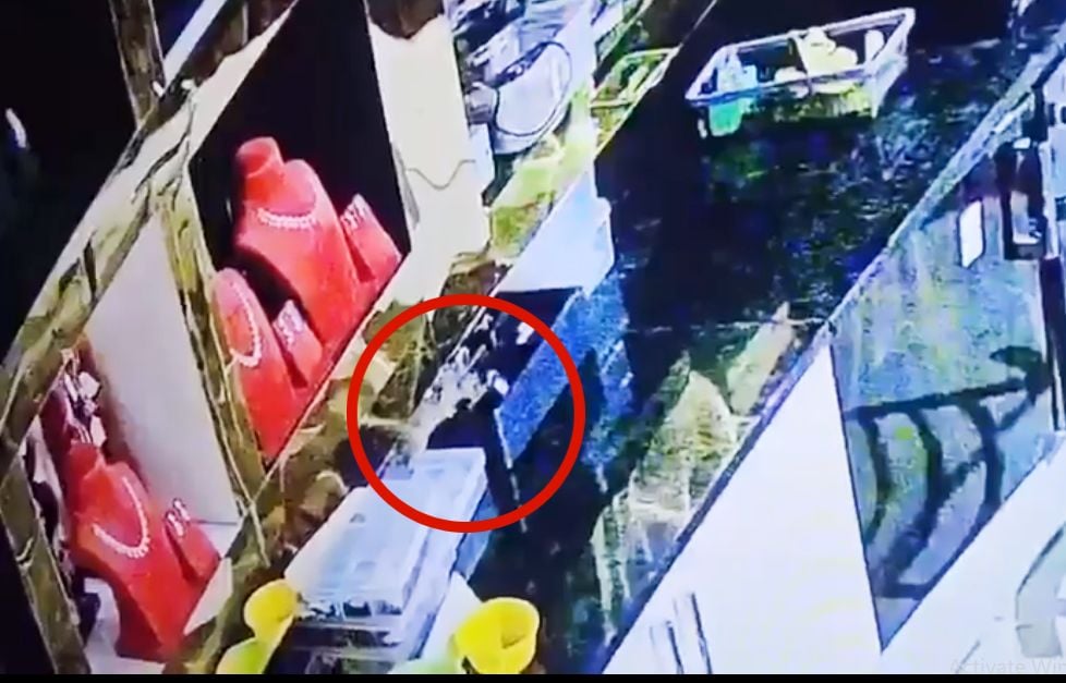 10 लाख का हीरा चुरा ले गया चूहा, ज्वैलरी शॉप का यह VIDEO कर देगा हैरान