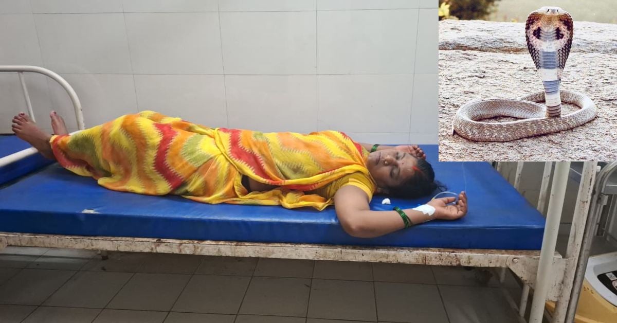 बारिश में जरा बच के! गोइठा निकालते समय महिला को जहरीले सांप ने डसा, इलाज जारी