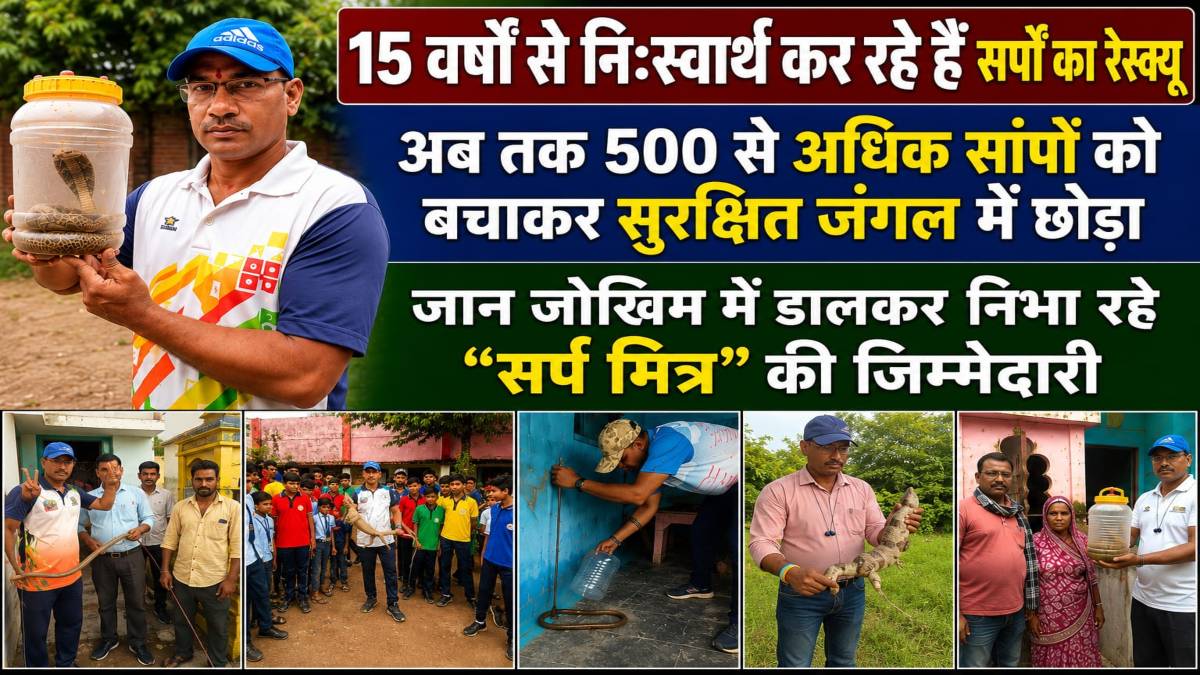 15 वर्षों से निःस्वार्थ कर रहे हैं सर्पों का रेस्क्यू: 500 से अधिक सांपों को बचाकर सुरक्षित जंगल में छोड़ा, स्नेक बाइट के बाद सांप को ही पकड़कर पहुंचे थे जिला अस्पताल