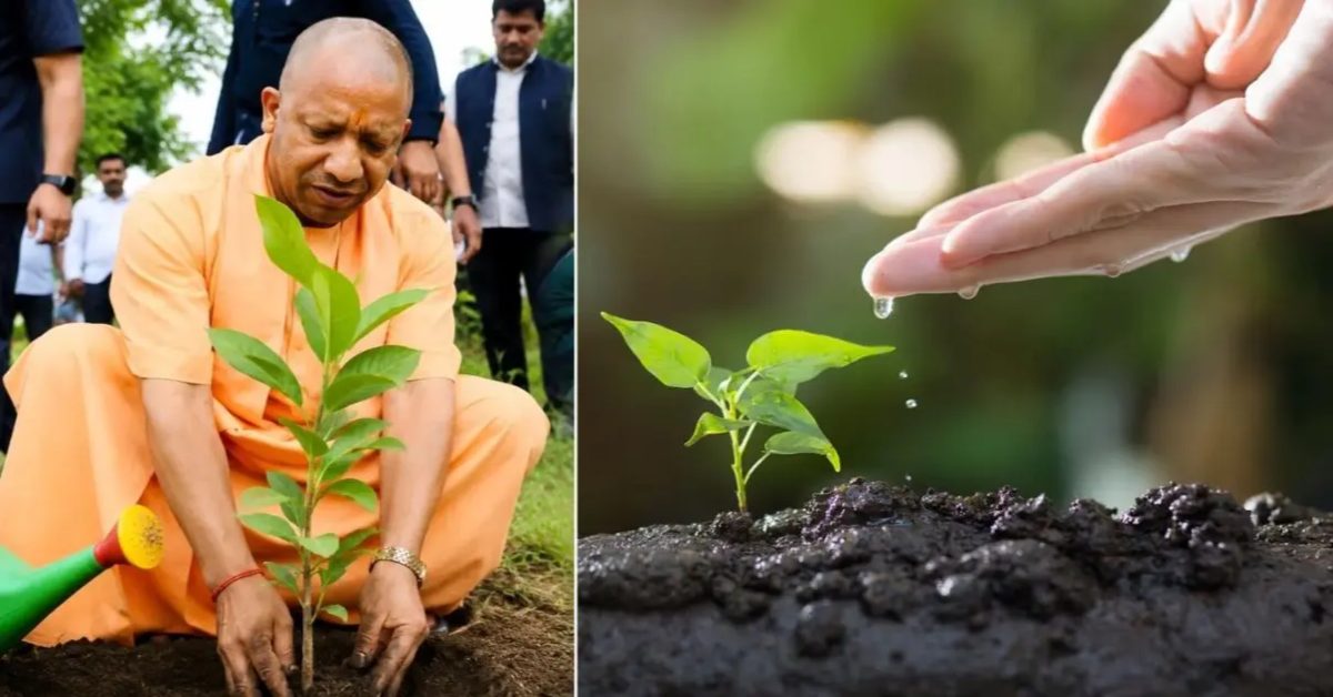 वृक्षारोपण ईश्वरीय कार्य, यह सृष्टि की सेवा, मानवता की उपासना और भविष्य की सुरक्षा का संकल्प- योगी