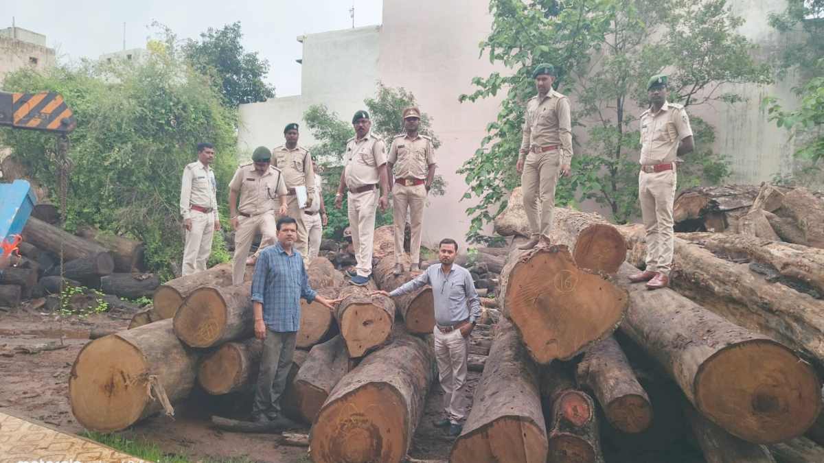 वन विभाग की बड़ी कार्रवाई : कोरबा की 206 साल के पेड़ों की लकड़ी अभनपुर से बरामद, आरोपी गिरफ्तार, आरा मिल सील