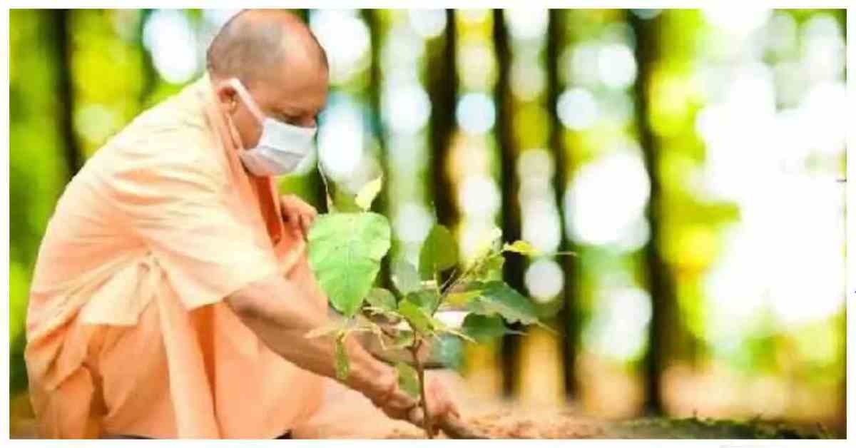 12 जुलाई को यूपी में लगेंगे 35 करोड़ पौधे, CM करेंगे ‘एक पेड़ मां के नाम’ अभियान की शुरुआत