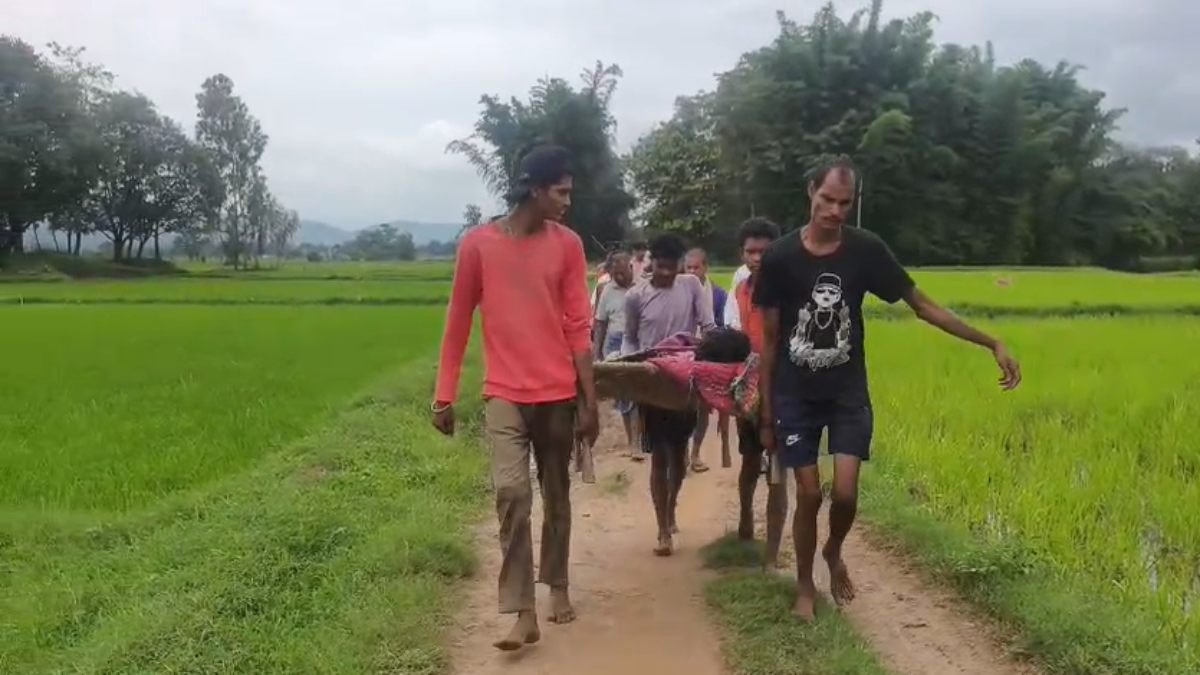 बेबस सिस्टम! सड़क का अभाव, घायल युवक को खाट पर ढोकर एक किलोमीटर पैदल चले ग्रामीण