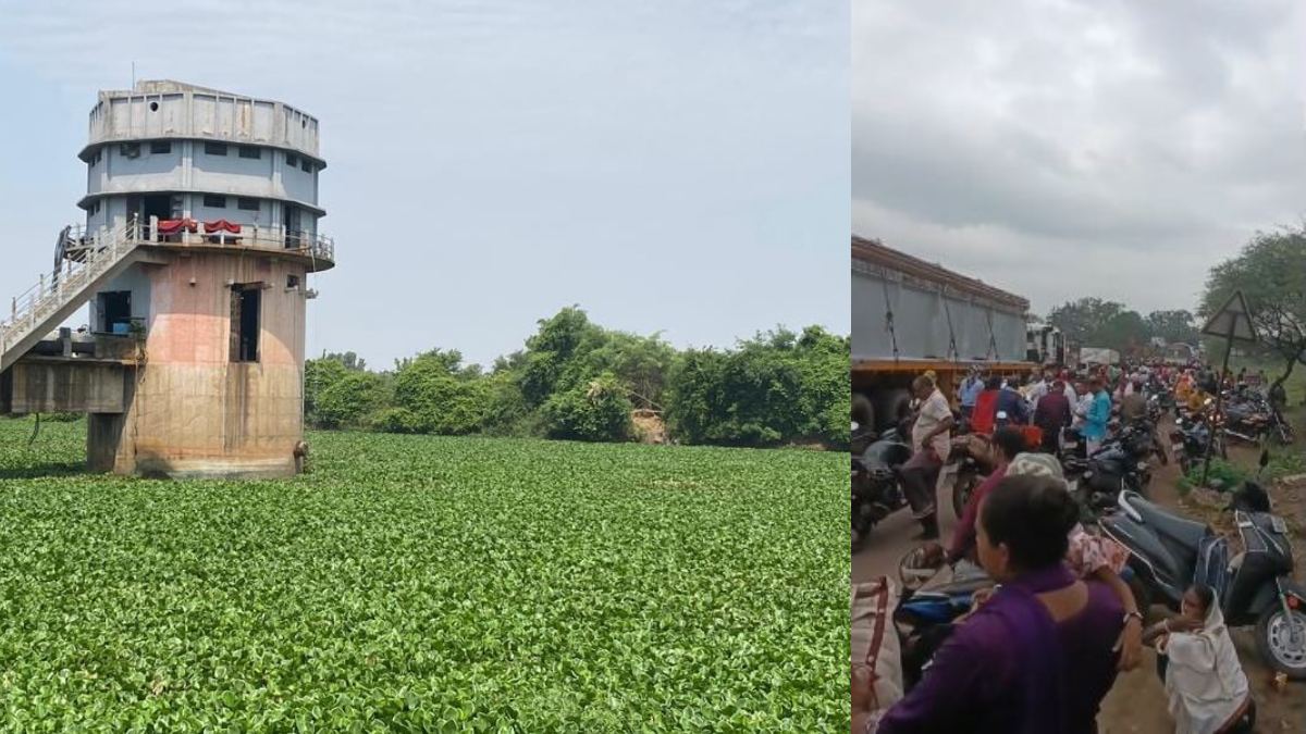 खारुन नदी में मौत का जाल: जलकुंभी में फंसकर 20 से अधिक मवेशियों की मौत, गुस्साए ग्रामीणों ने किया चक्काजाम