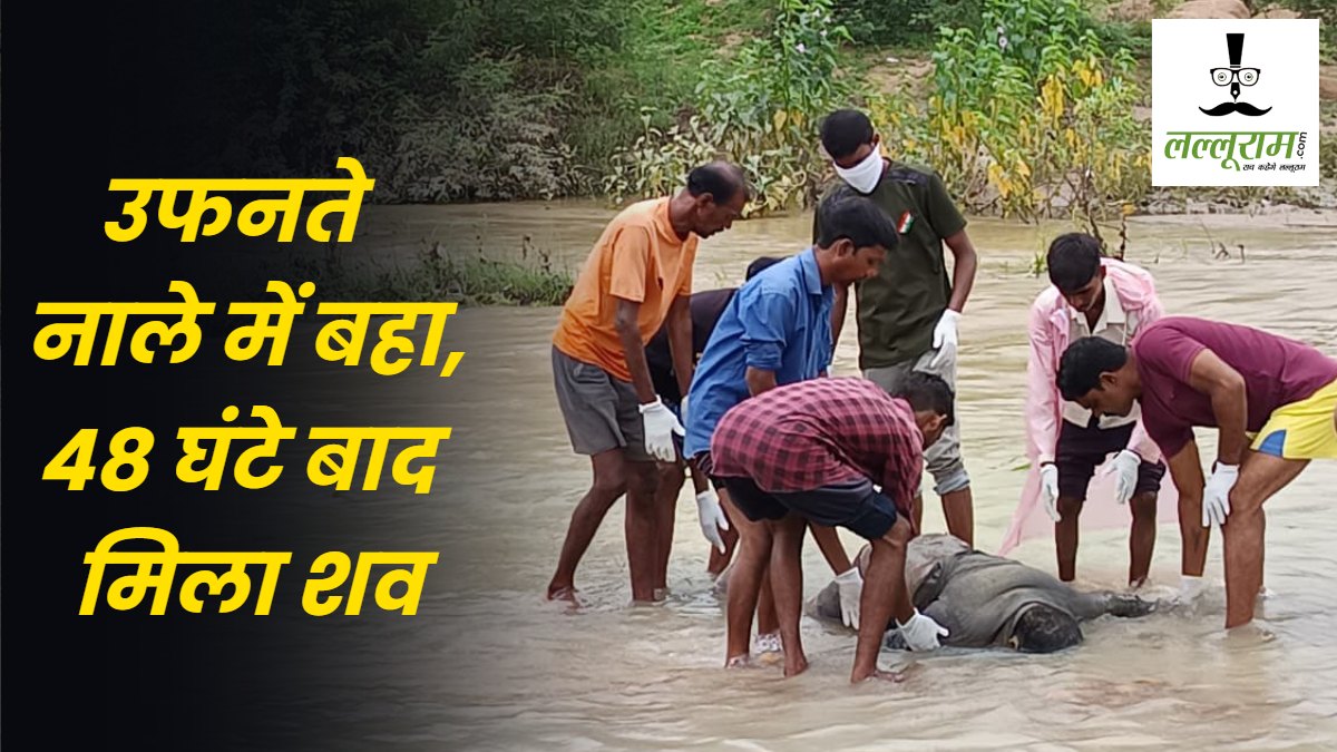 Chhattisgarh : उफनते नाले में बहा ग्रामीण, 48 घंटे बाद मिला शव